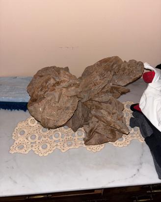 Rosa del Deserto in Selenite (Gesso) – Algeria