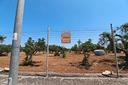 terreno-agricolo-via-delle-rose-grottaglie