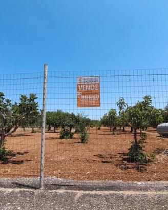 Terreno agricolo via delle Rose Grottaglie