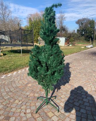 Albero di natale