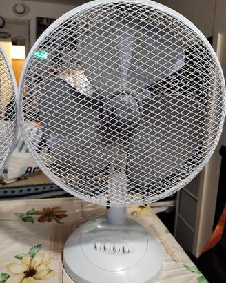 Coppia Ventilatori.