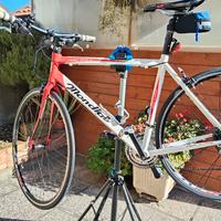 bici da uomo Mondial 