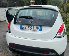 Lancia y Elefantino Rosa