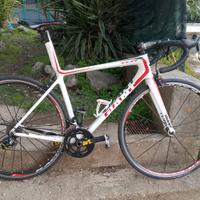 Gianti tcr tg m