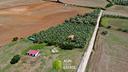 terreno-agricolo-di-4-ettari-con-uliveto