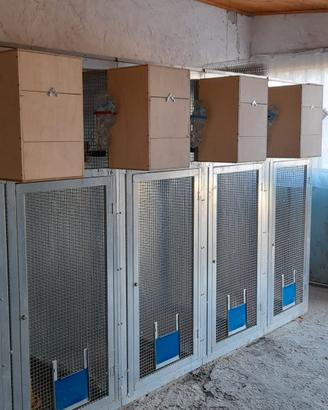 pannelli modulari porta