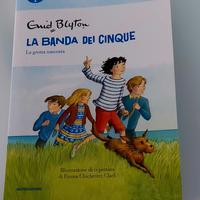 LIBRO LA BANDA DEI 5 - La grotta nascosta