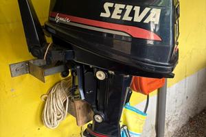 Motore fuoribordo 8 cv