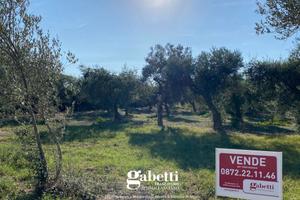 Terreno Residenziale Treglio [v454VRG]