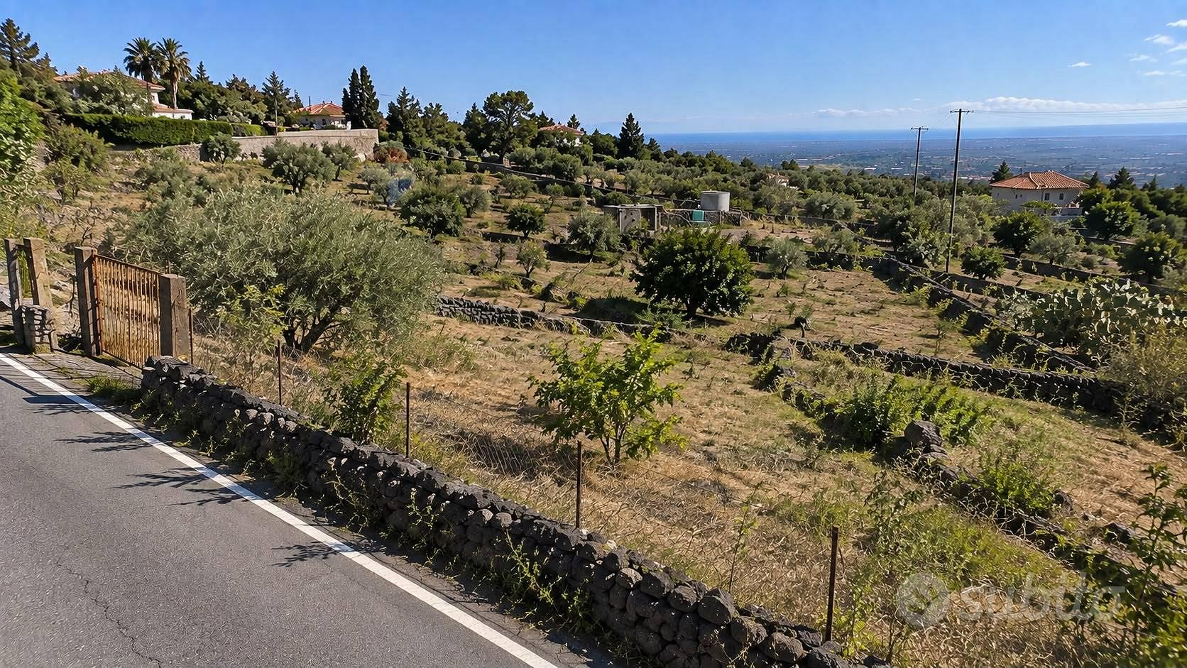 Terreno Edificabile - Santa Maria di Licodia - Vista 3