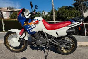 Honda dominator  nx 650 1995 D’Epoca