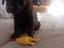 Immagine 2