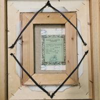 Olio su Tela - VICI CICALA