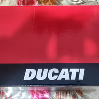 Modello DUCATI 999 diecast 1/6