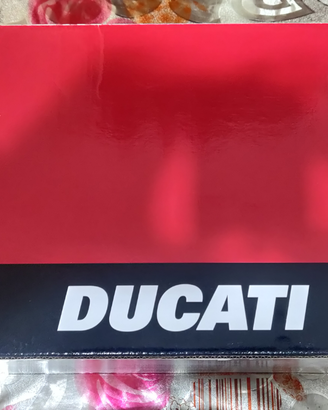 Modello DUCATI 999 diecast 1/6