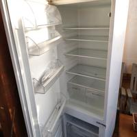 frigo incasso rex