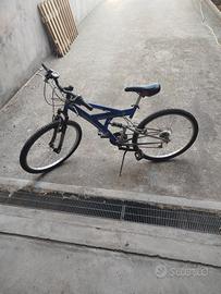 bicicletta 