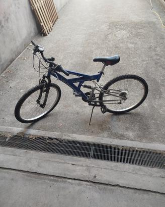 bicicletta 