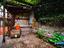 Immagine 29