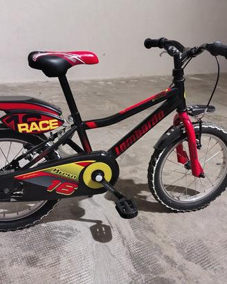 Mountain bike  lombardo 16