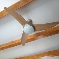 Ventilatore a soffitto
