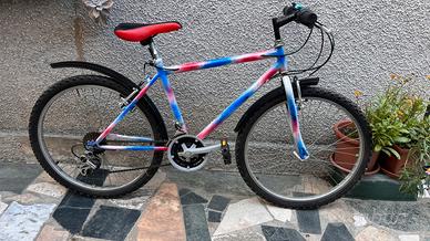 Mountain Bike con cambio Shimano 21 rapporti