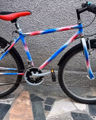 Mountain Bike con cambio Shimano 21 rapporti