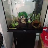 Acquario juwel lido 120