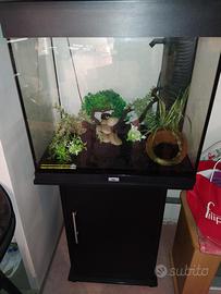 Acquario juwel lido 120