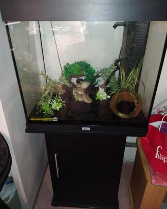 Acquario juwel lido 120