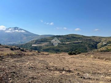 TER. AGRICOLO A CASTELLAMMARE DEL GOLFO