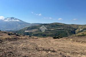 TER. AGRICOLO A CASTELLAMMARE DEL GOLFO