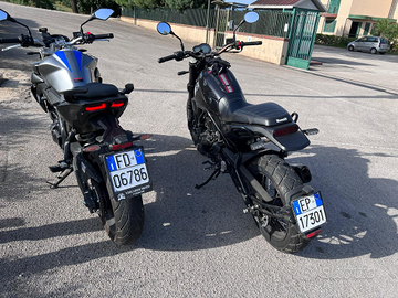 Benelli leoncino 500 Trail