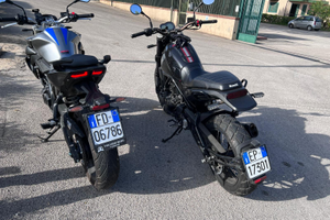 Benelli leoncino 500 Trail