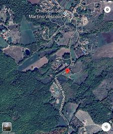 Terreno uliveto