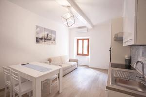 APPARTAMENTI COSMOPOLI -Suite B-