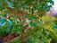 Immagine 26