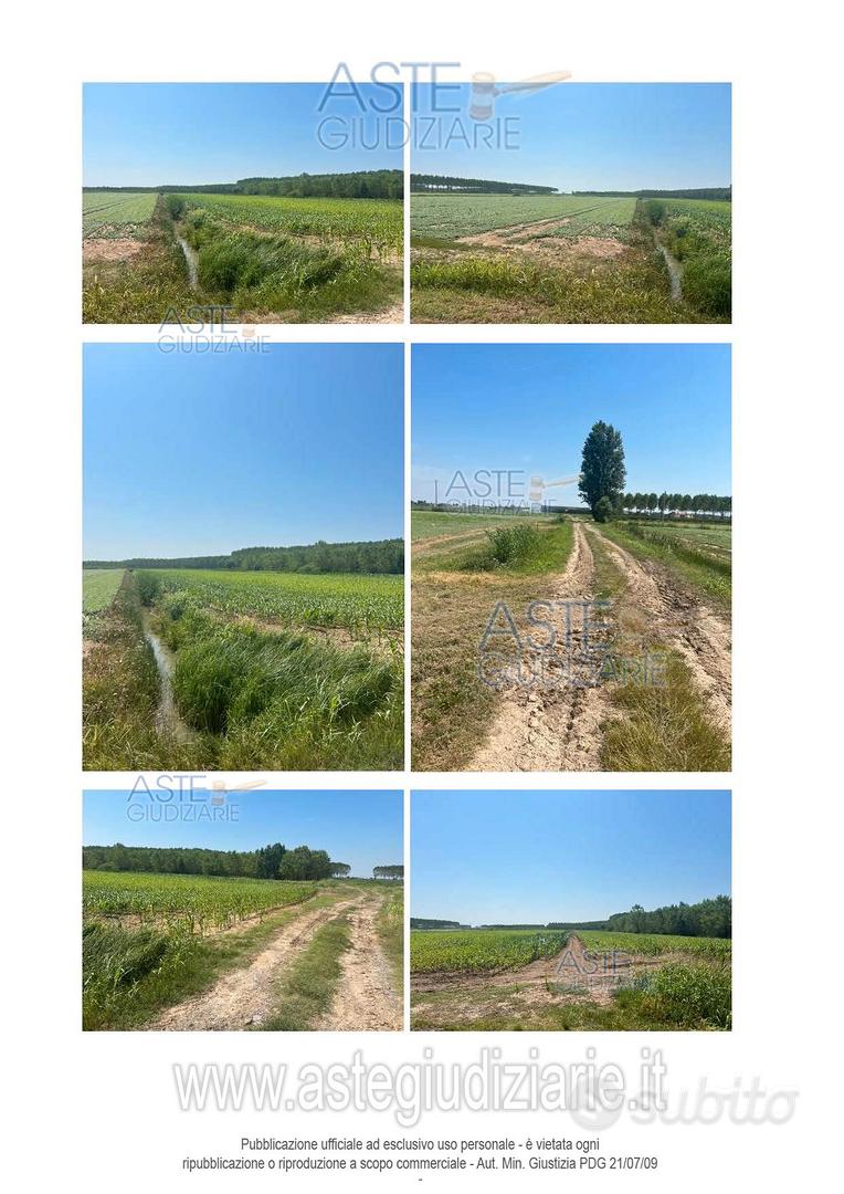 Terreno Agricolo Villimpenta [A4341933] - Vista 2