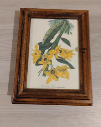 quadro appendichiavi