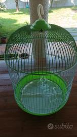 Gabbia canarino