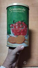 Barattoli Mulino Bianco Gran Cereale