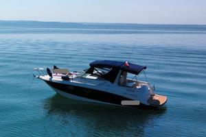 Natante Larson 290 