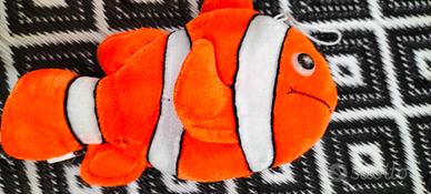 pesce Nemo 