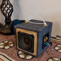 Cassa amplificata bluetooth. 
