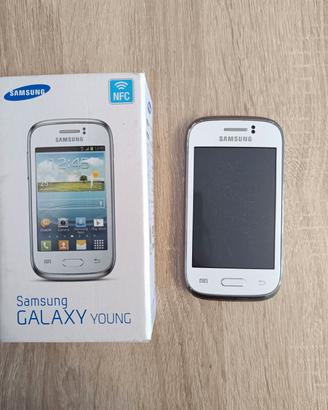 Samsung Galaxy young