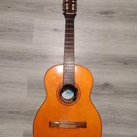 Chitarra brasiliana Di Giorgio