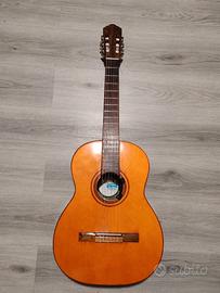 Chitarra brasiliana Di Giorgio