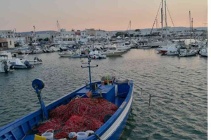 Casa vacanza Ostuni la porta del salento