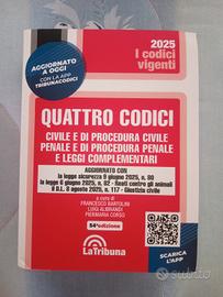 Libro Codice civile e Codice penale 