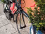 Immagine 5